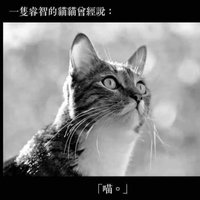 Billy Ham