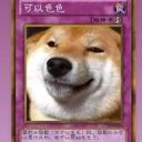 可以瑟瑟