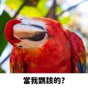 劉勝賢