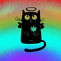 楷甯